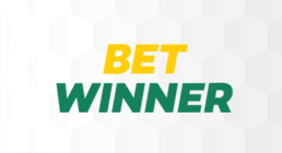 BetWinner Casino